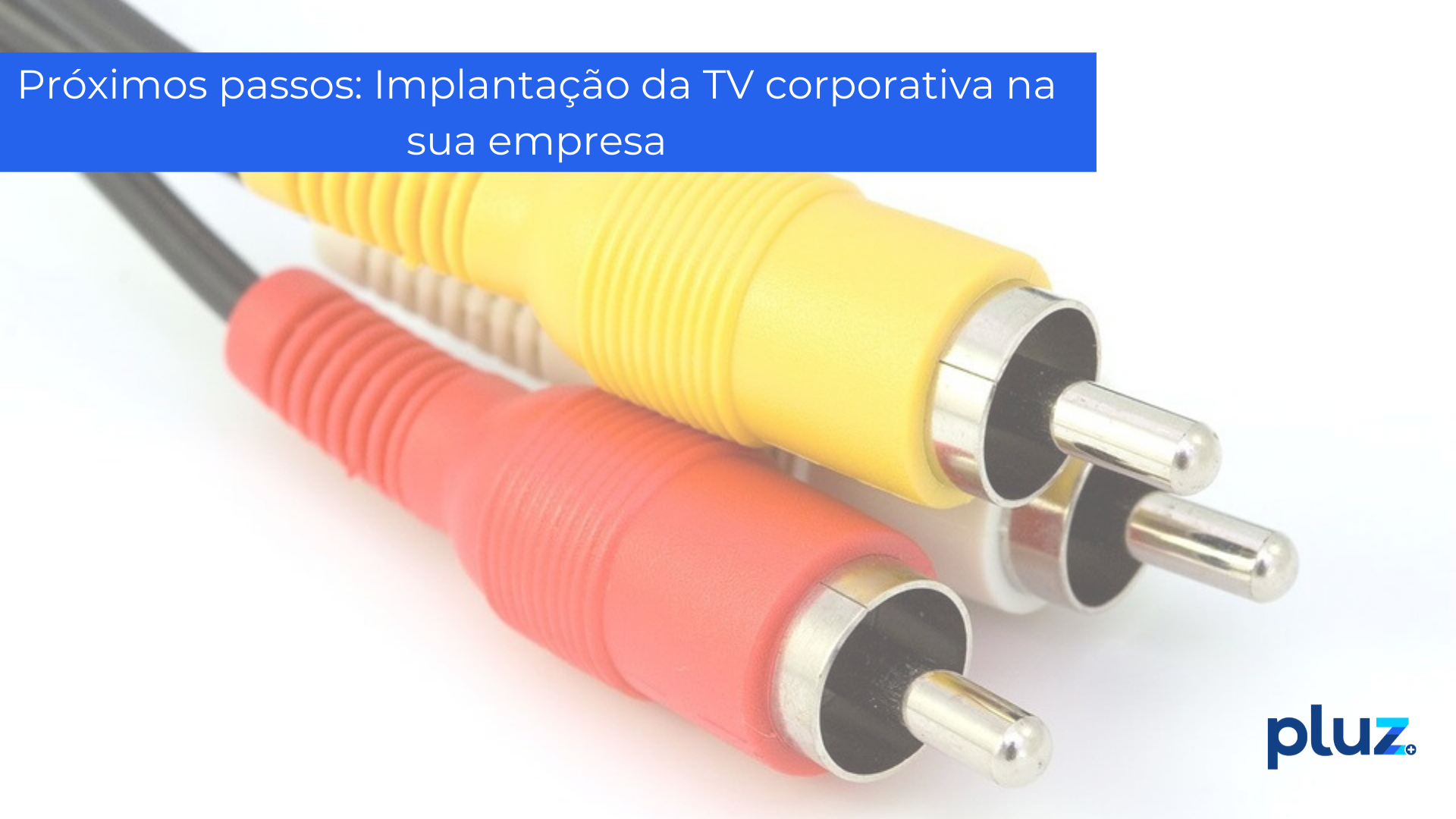 Próximos passos: Implantação da TV corporativa na sua empresa